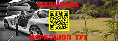 Альфа ПВП Пушкино