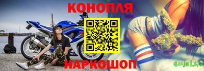 Альфа ПВП Пушкино