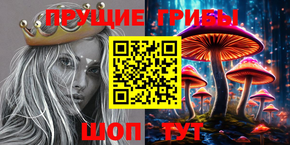 Псилоцибиновые грибы прущие грибы Солнечногорск